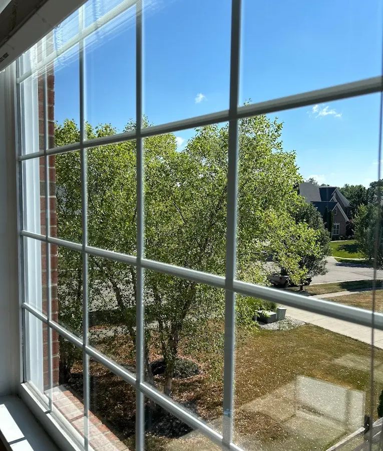 Freshly cleaned divided-light window seen from inside, trees and lawn outside